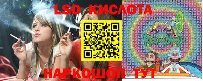 гидропоника Гудермес