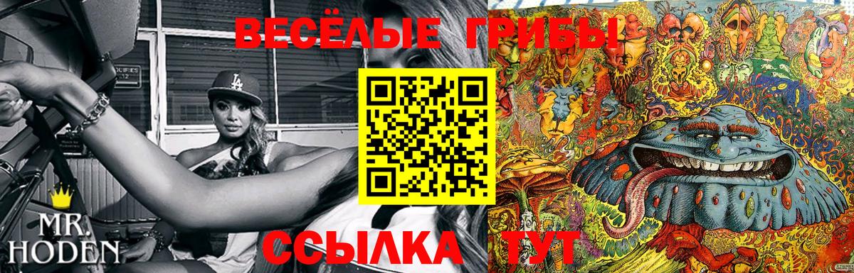 Ижевск  Псилоцибиновые грибы Cubensis  Вход с VPN  Псилоцибиновые грибы GOLDEN TEACHER 